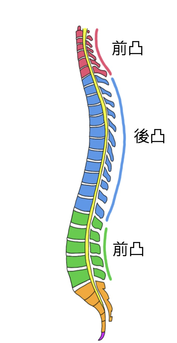 image1 image1